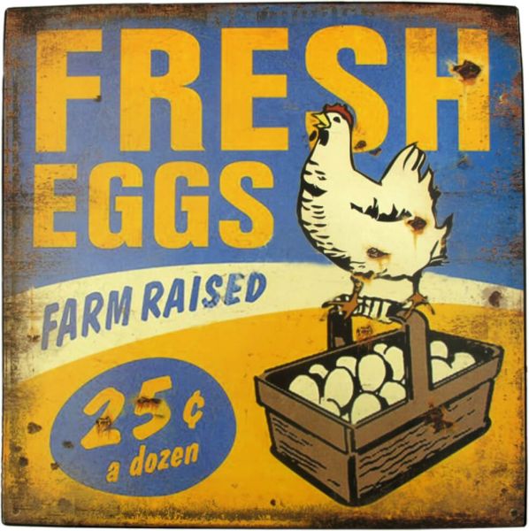 Blechschild Fresh Eggs Chicken