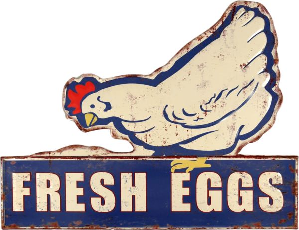 Blechschild Fresh Eggs XXL