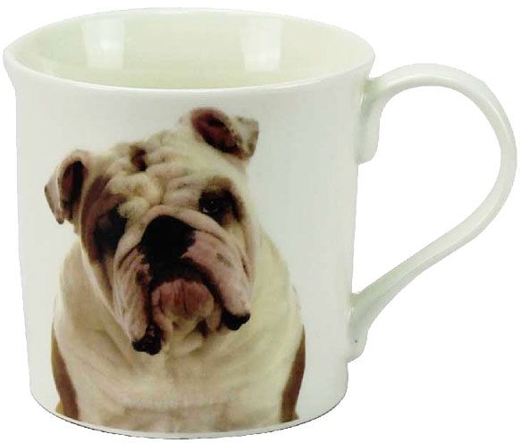 Becher Bulldogge, Portrait
