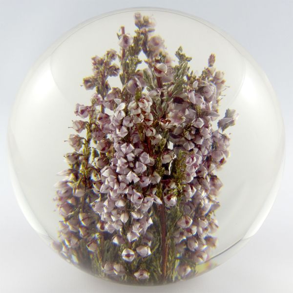 Briefbeschwerer Heide (Heather), Hafod Grange